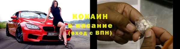 сатива Арсеньев