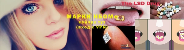 ГАЛЛЮЦИНОГЕННЫЕ ГРИБЫ Армянск