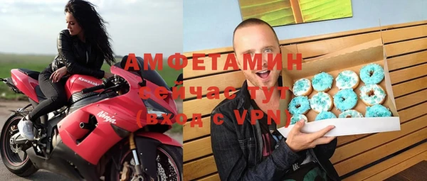 сатива Покачи