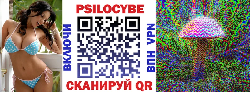 Псилоцибиновые грибы Psilocybine cubensis  Салехард 